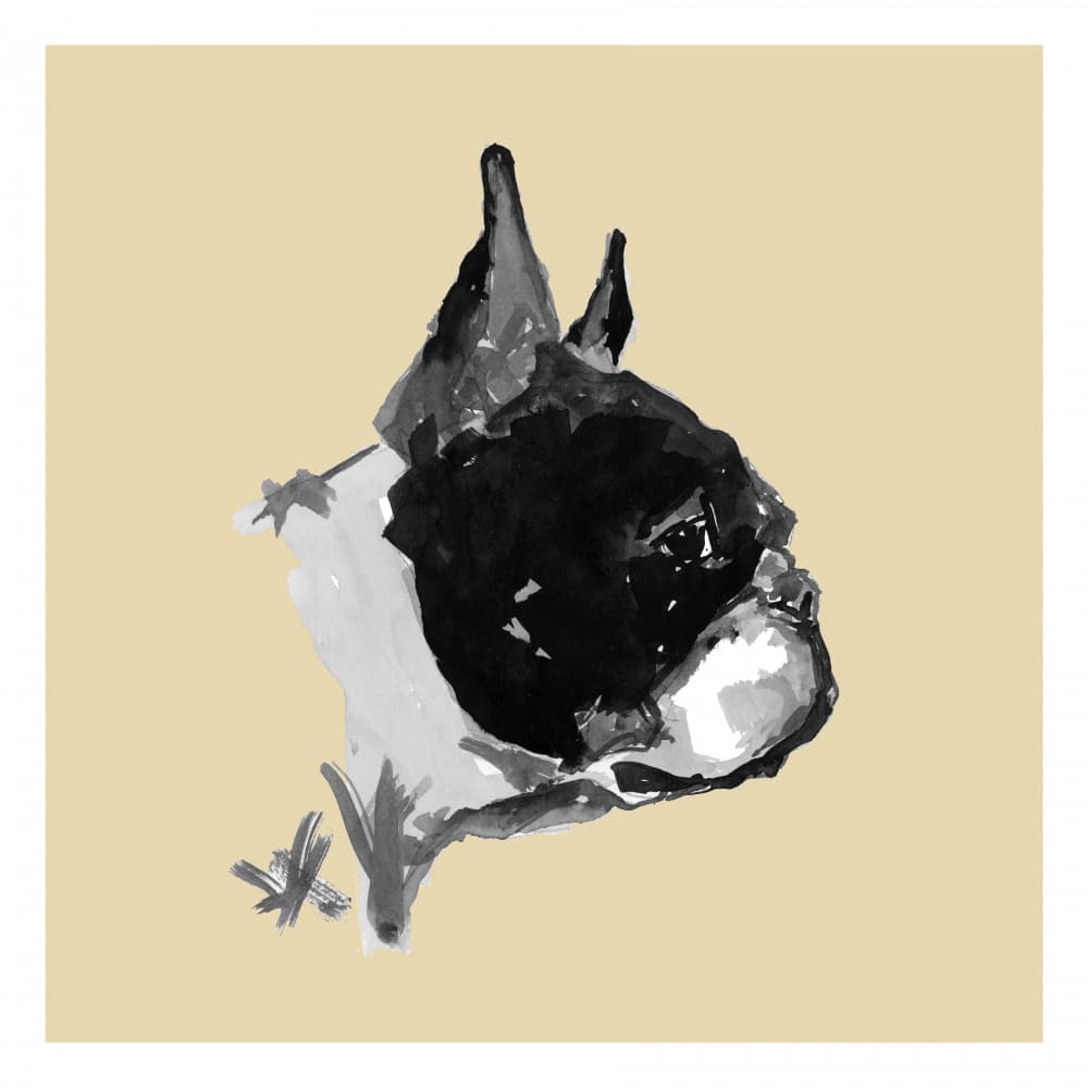 Expressive Boston Terrier Portrait by cartissi — canvas wall art