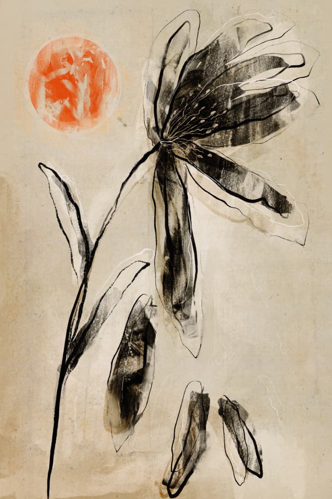 Shadowed Bloom by Treechild — canvas wall art
