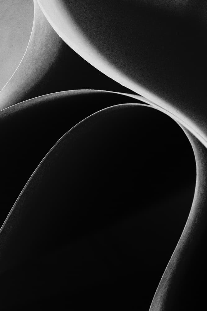 Flowing Abstract Forms by Tetsuji Fujino — canvas wall art
