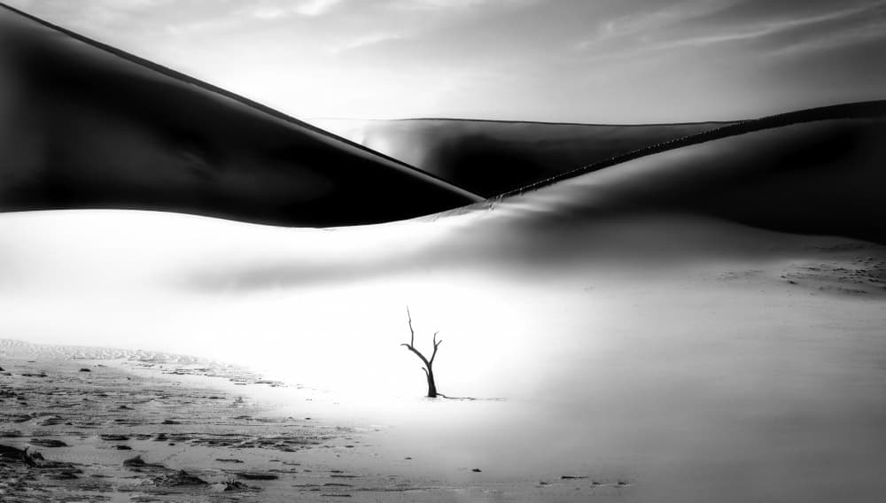 Spirit of the desert 7R49491BN by joanaduenas — canvas wall art