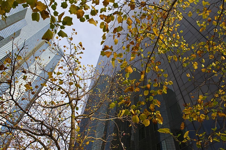 Skyscrapers and Autumn Leaves by Jure Kravanja — canvas wall art