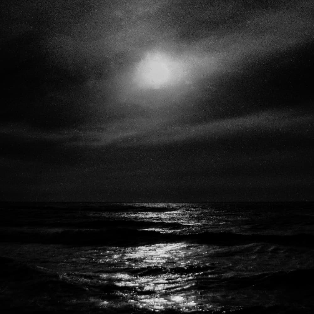 Moonlit Ocean Waves by Paulo Abrantes — canvas wall art