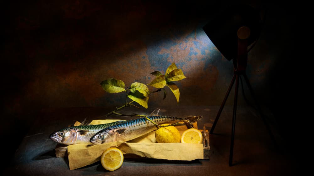 Dramatic Mackerel Still Life by Felice Angelino — canvas wall art