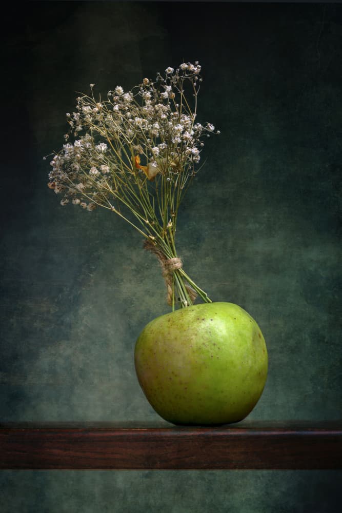 Green Apple Bouquet by Brig Barkow — canvas wall art