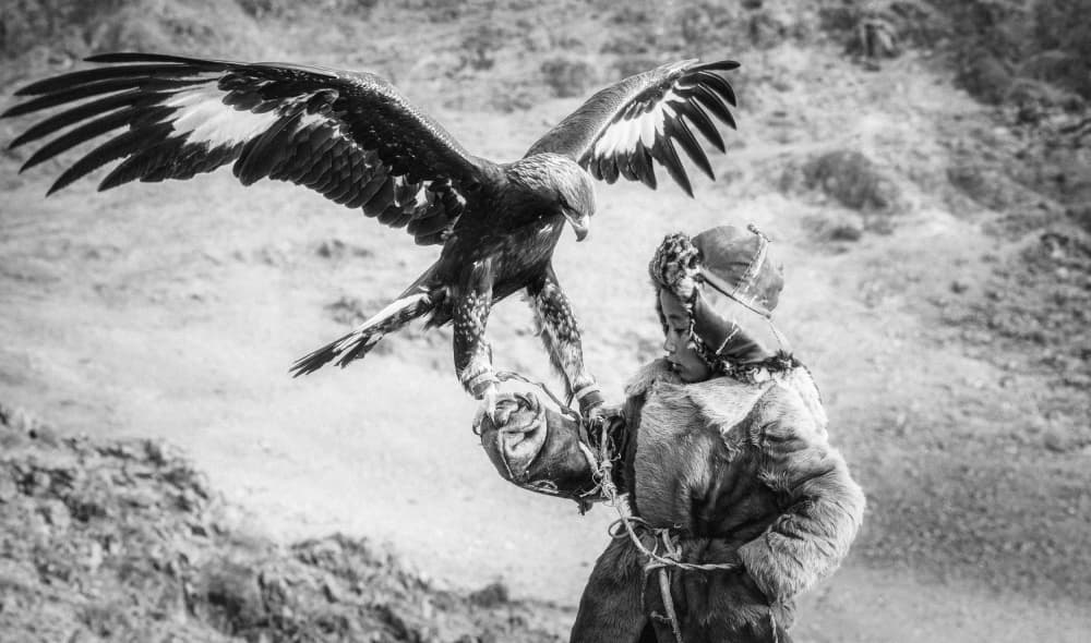 Golden Eagle Hunter by ADIREK M — canvas wall art