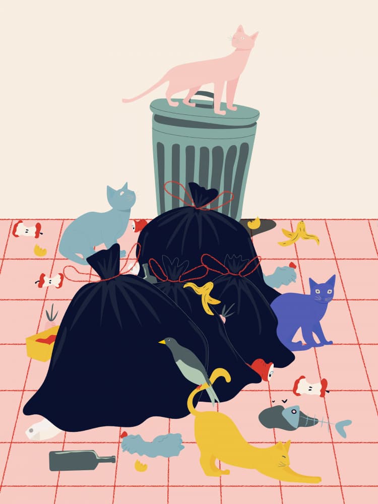 Cats by Jota de jai — canvas wall art