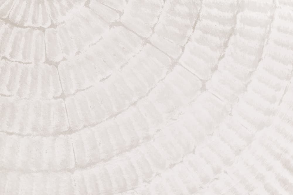 Soft Ripple Texture by Pictufy Studio III — canvas wall art
