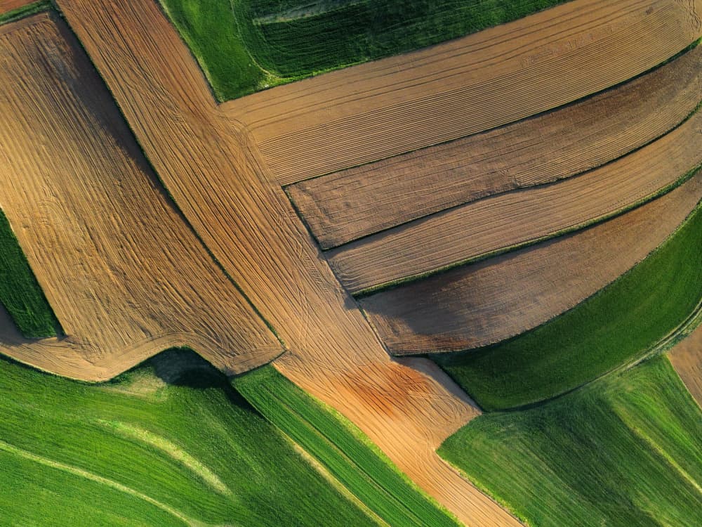 Vibrant Farm Patterns by Primož Kožuh — canvas wall art
