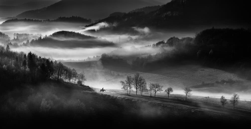 Misty Mountain Rider