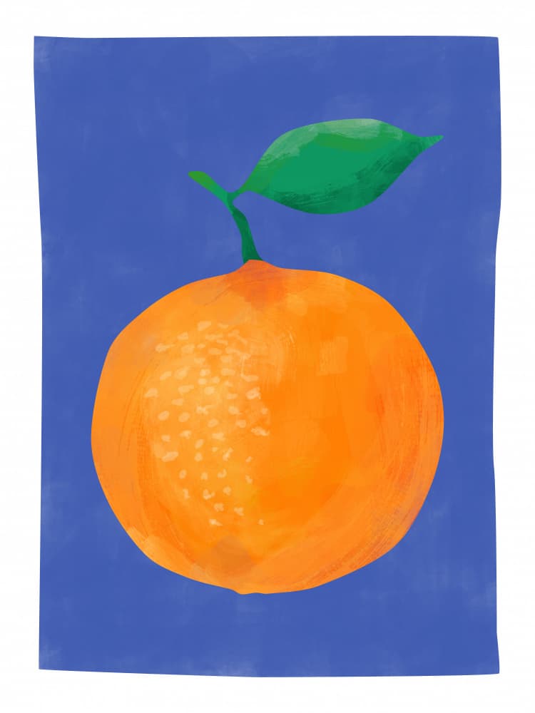 Fresh Orange Blue by Elena Ristova — canvas wall art