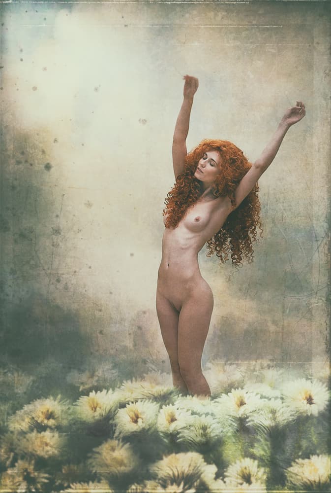 Awakening in Flowers by kenp — canvas wall art