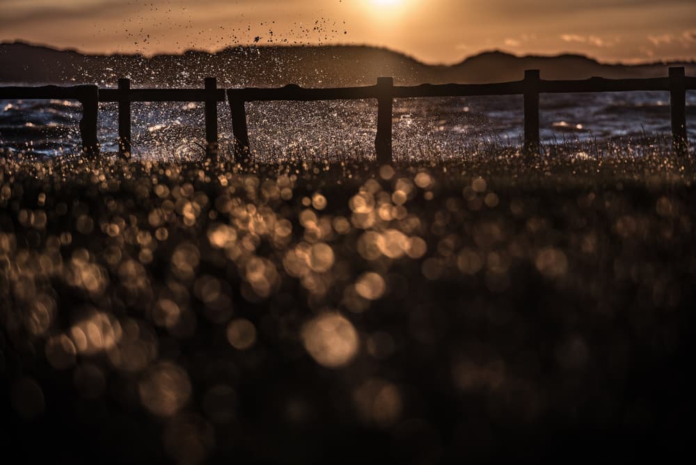Golden Hour Water Splash by Twenty Eight — canvas wall art