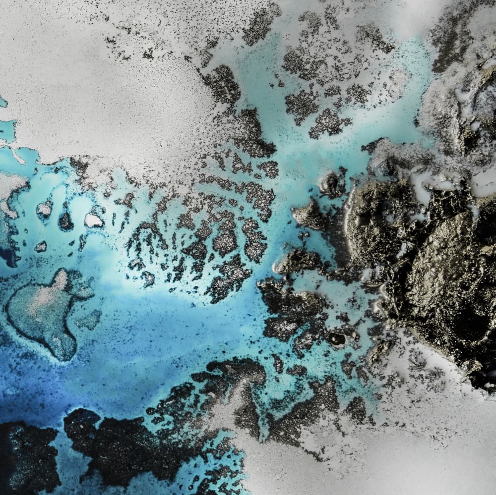 Most Popular - Maritime Majesty - Turquoise Coral Vibes by Petra Meikle de Vlas — canvas wall art