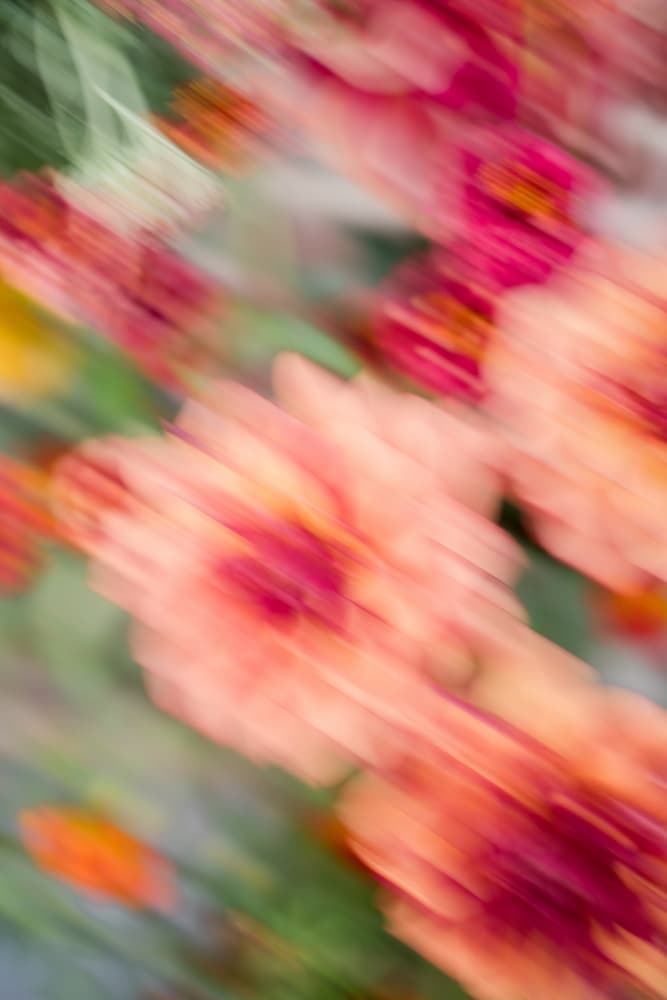 Moving Flowers 1 by Raisa Zwart — canvas wall art