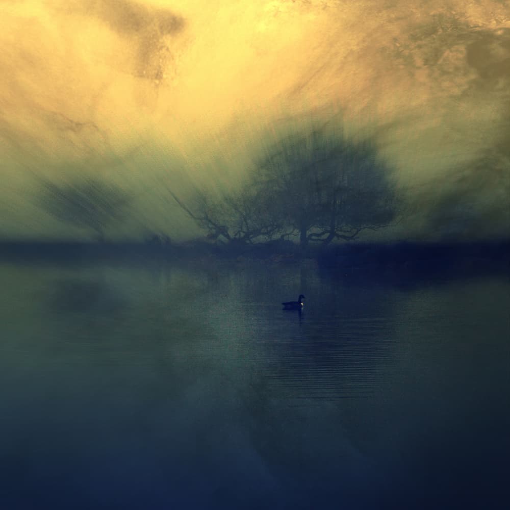 Golden Lake Solitude by Robert Fabrowski — canvas wall art