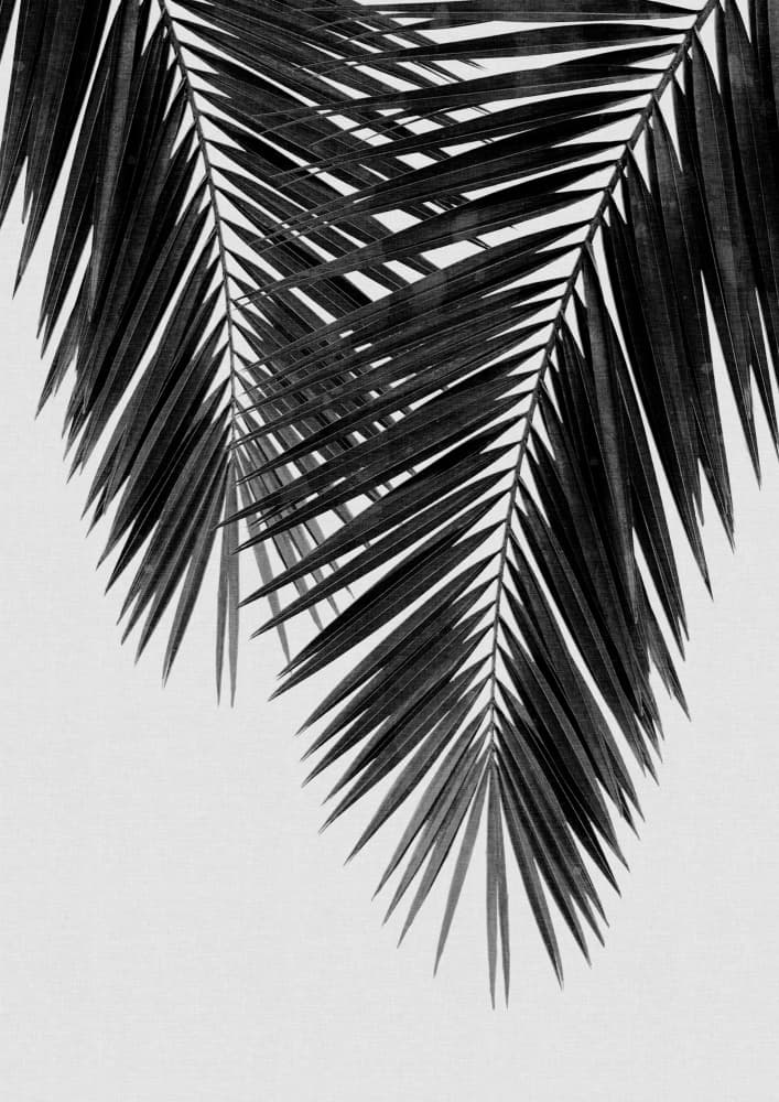 Tropical Palm Leaves by Orara Studio — canvas wall art