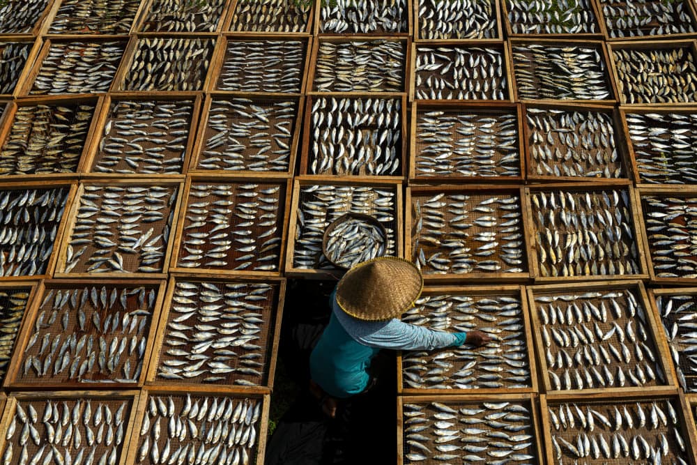 Sun Drying Fish by Lita Pratikto — canvas wall art