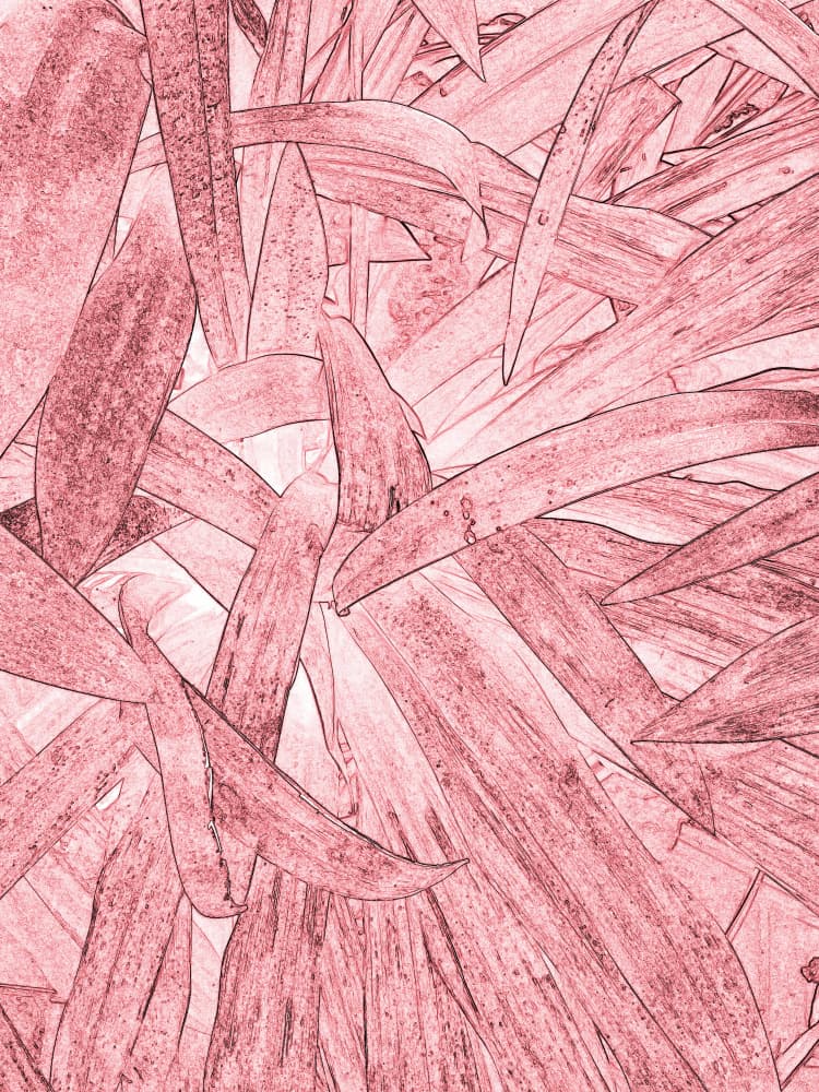 Warm Botanical Layers by Santhosh ch — canvas wall art