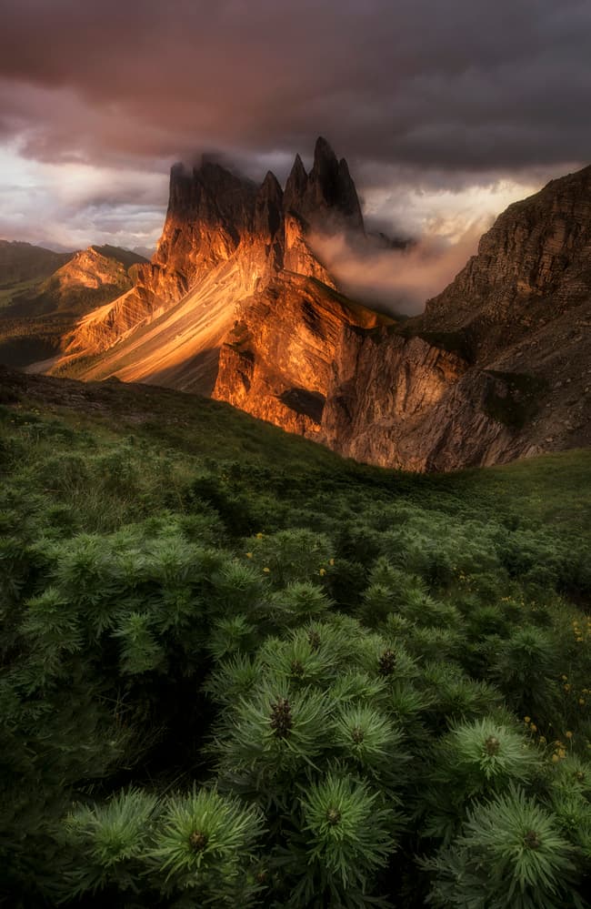 Dramatic Golden Peaks by Stan Huang — canvas wall art