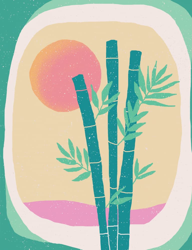 Tropical Bamboo Sunset by Aylin Demir — canvas wall art