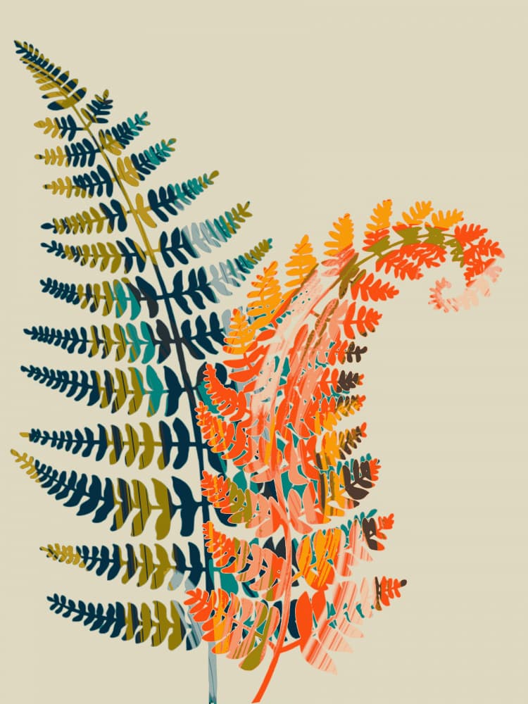 Colorful Fern Fronds by Annick — canvas wall art