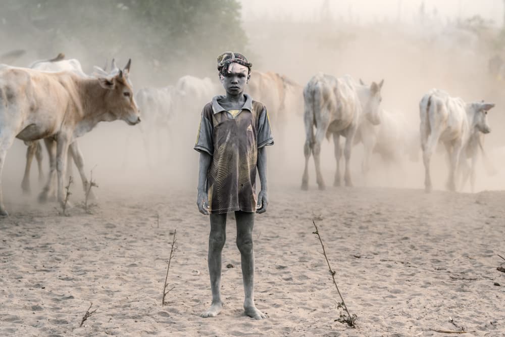 Ash-Covered Herder by Trevor Cole — canvas wall art