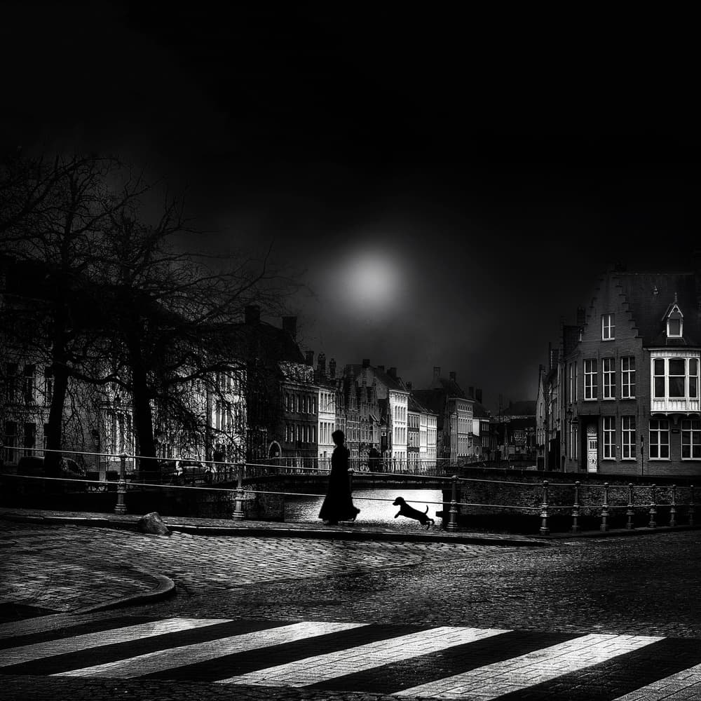 Moonlit City Dog Walk by Piet Flour — canvas wall art