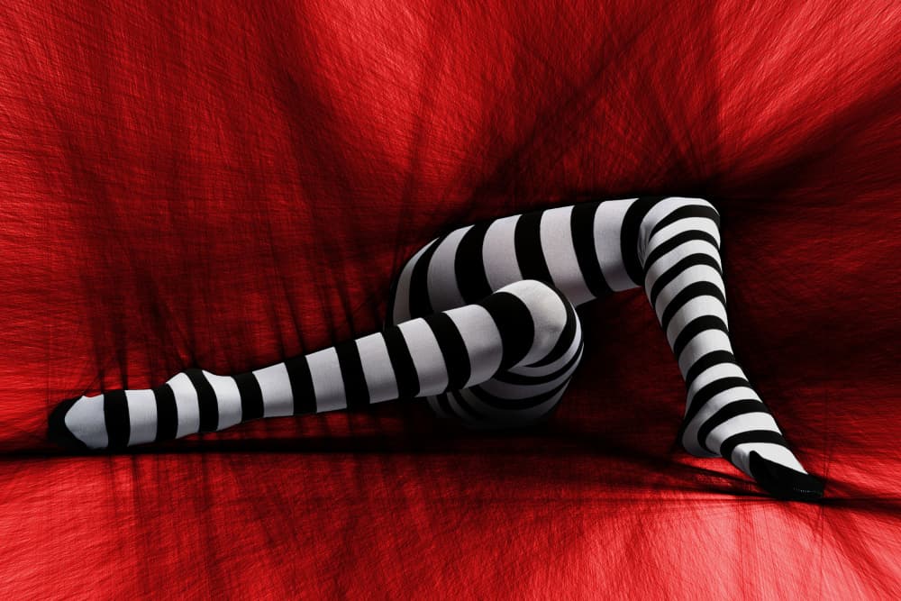 Red Striped Legs by Erhard Batzdorf — canvas wall art