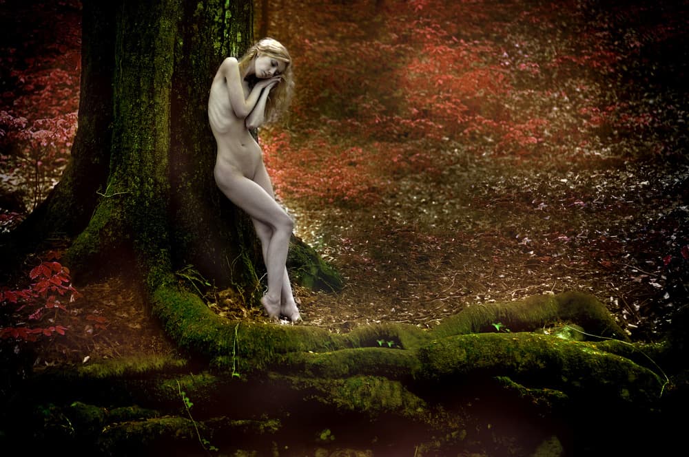 Ethereal Forest Nymph by Adela Lia Rusu — canvas wall art