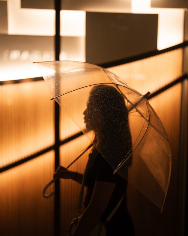 Golden Rain Silhouette by Alexander London — canvas wall art