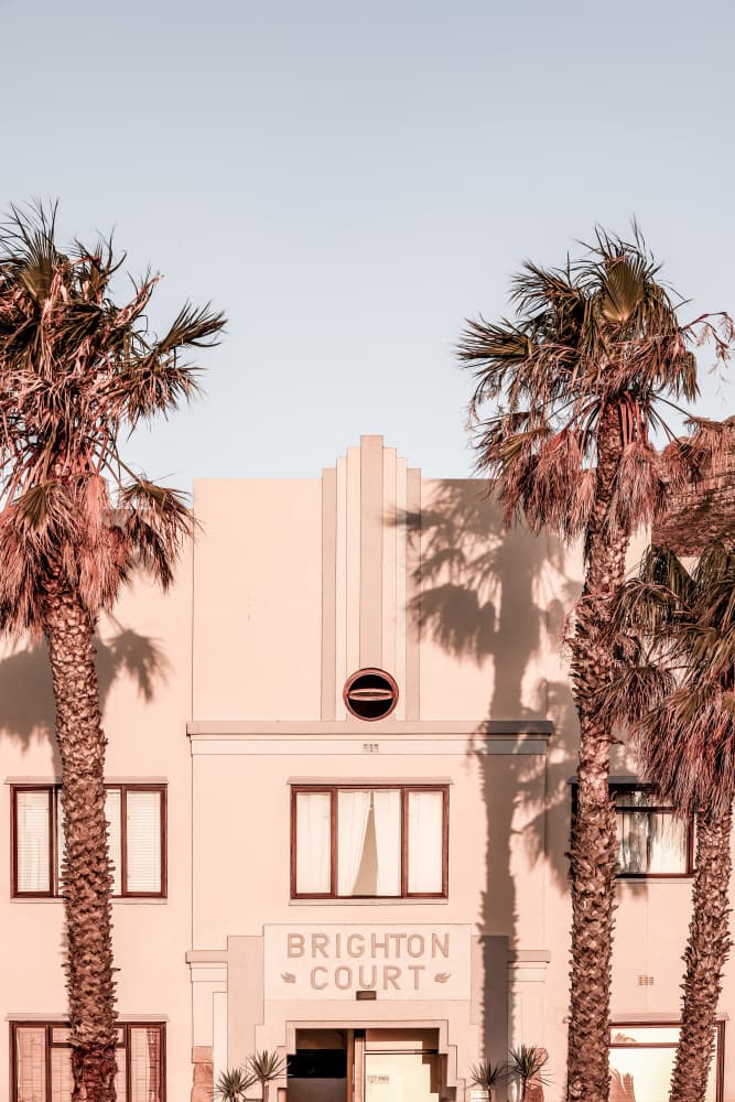 Palm Shadows by Shot by Clint — canvas wall art