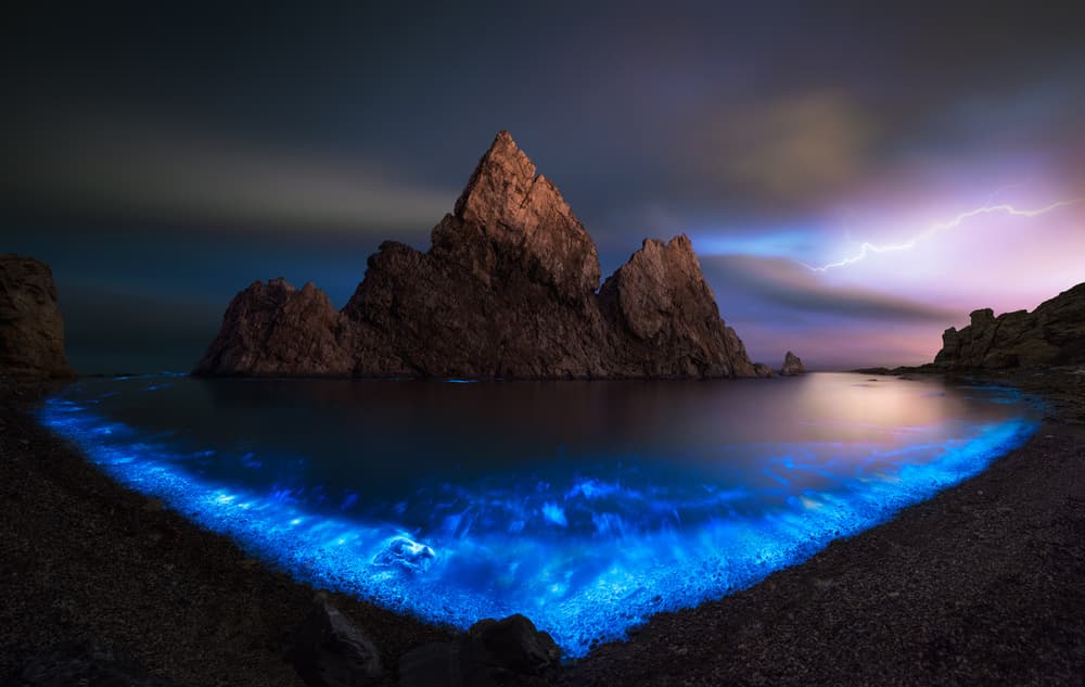 Bioluminescent Night Lightning by Shanyewuyu — canvas wall art