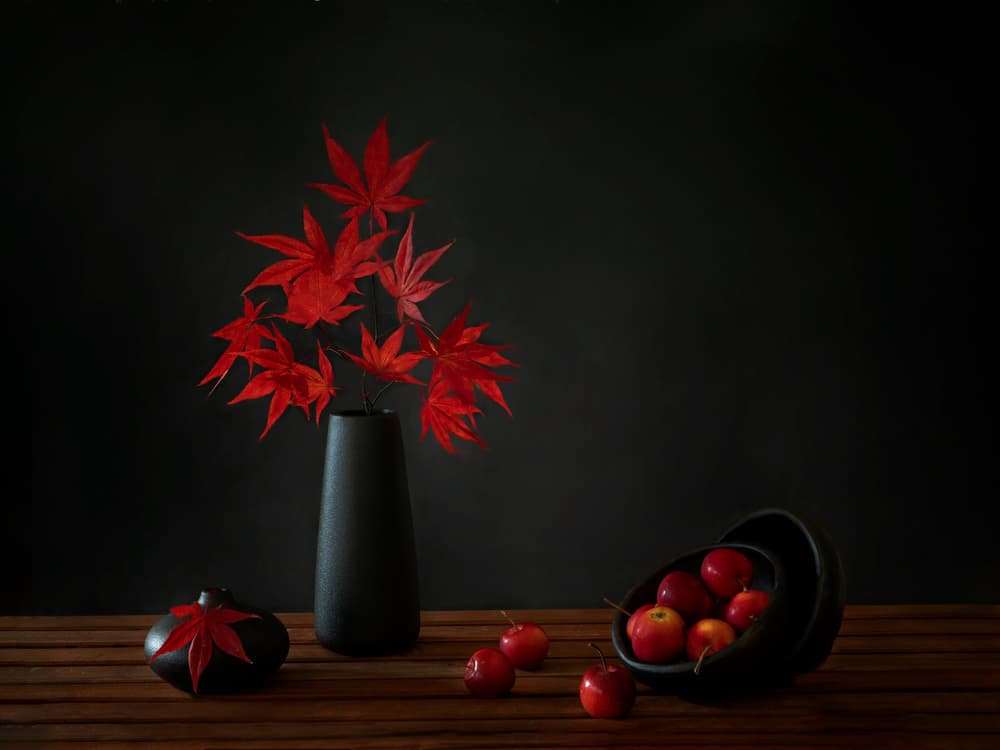 Red Maple Still Life by Wendy Xu — canvas wall art