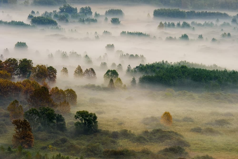 Misty Morning Landscape by Roberto Marini — canvas wall art
