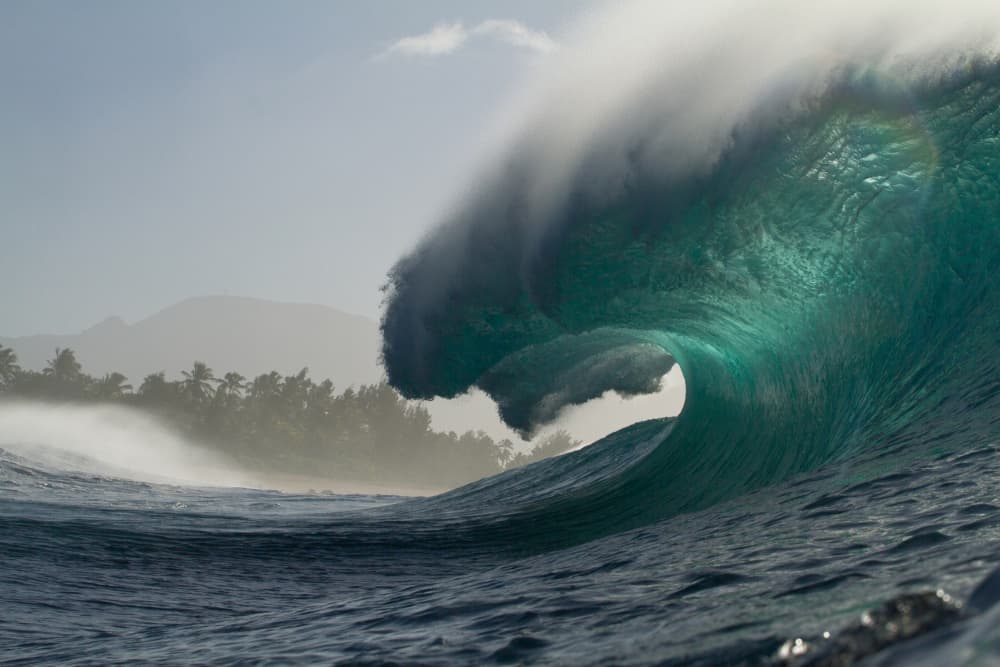 Emerald Ocean Curl by Anthony Fox — canvas wall art