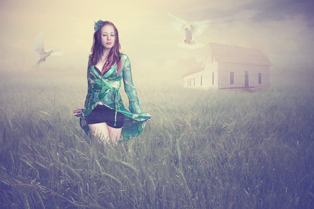 Dreamy Field Woman by Baden Bowen — canvas wall art