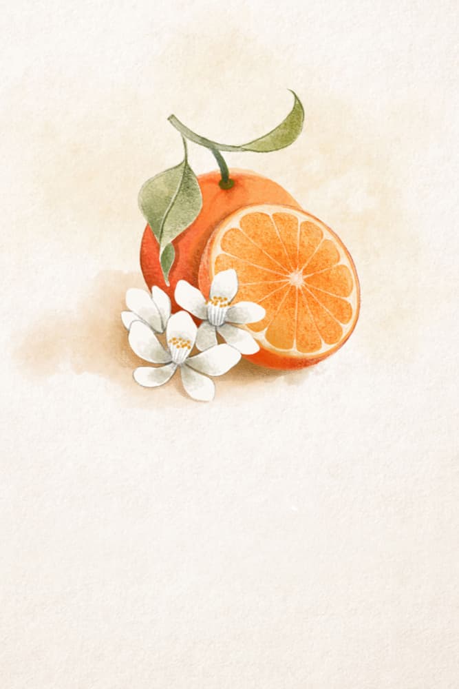 Bright Orange Blossoms by Xuan Thai — canvas wall art