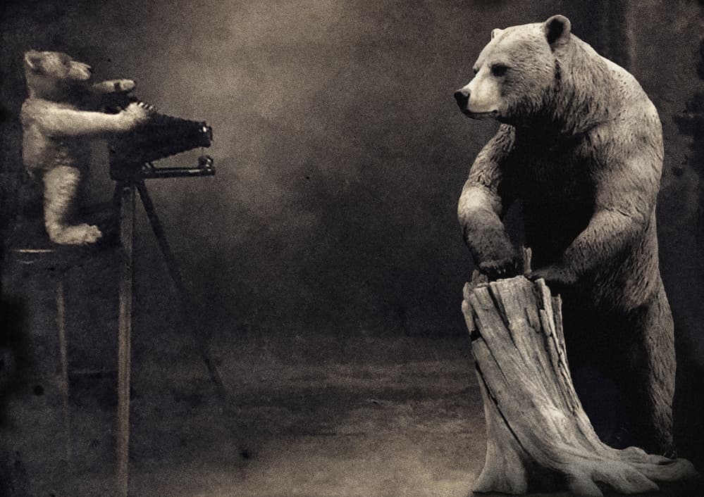 Whimsical Bear Photoshoot by Jeffrey Hummel — canvas wall art