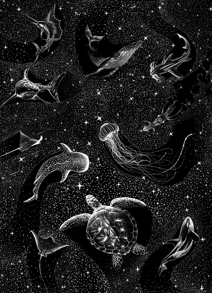 Ocean Animals Under Stars by Alirıza ÇAKIR — canvas wall art