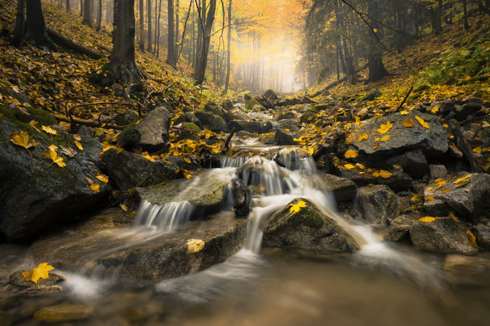 Autum Stream by Stefan Hefele — canvas wall art