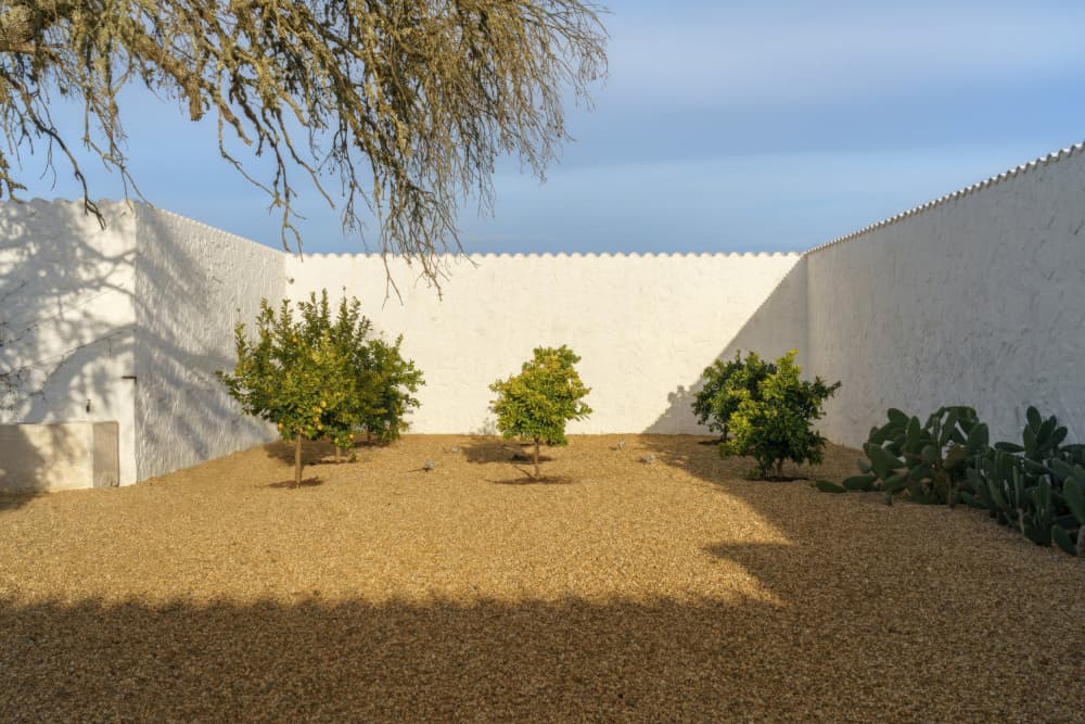 Sunny Courtyard Garden by Minorstep — canvas wall art