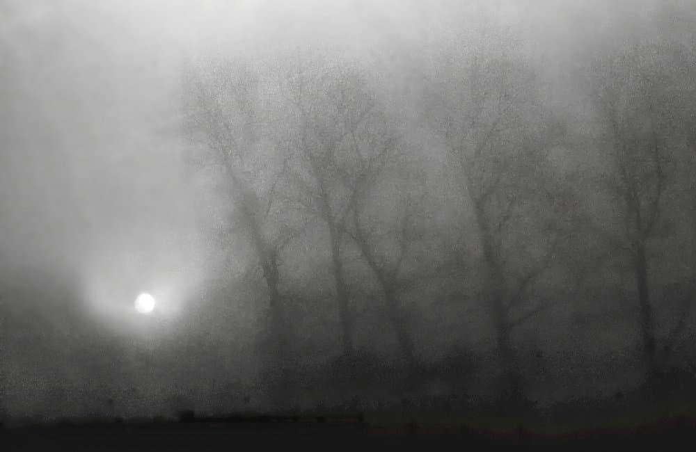 Misty Forest Glow by Yvette Depaepe — canvas wall art
