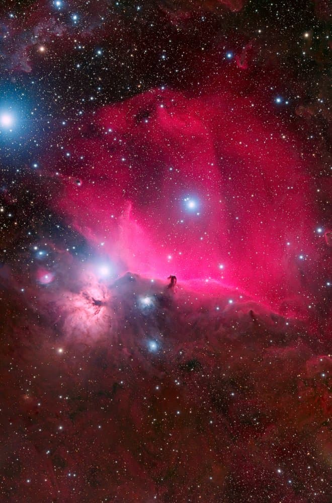 Deep Space Horsehead Nebula by Vikas Chander — canvas wall art