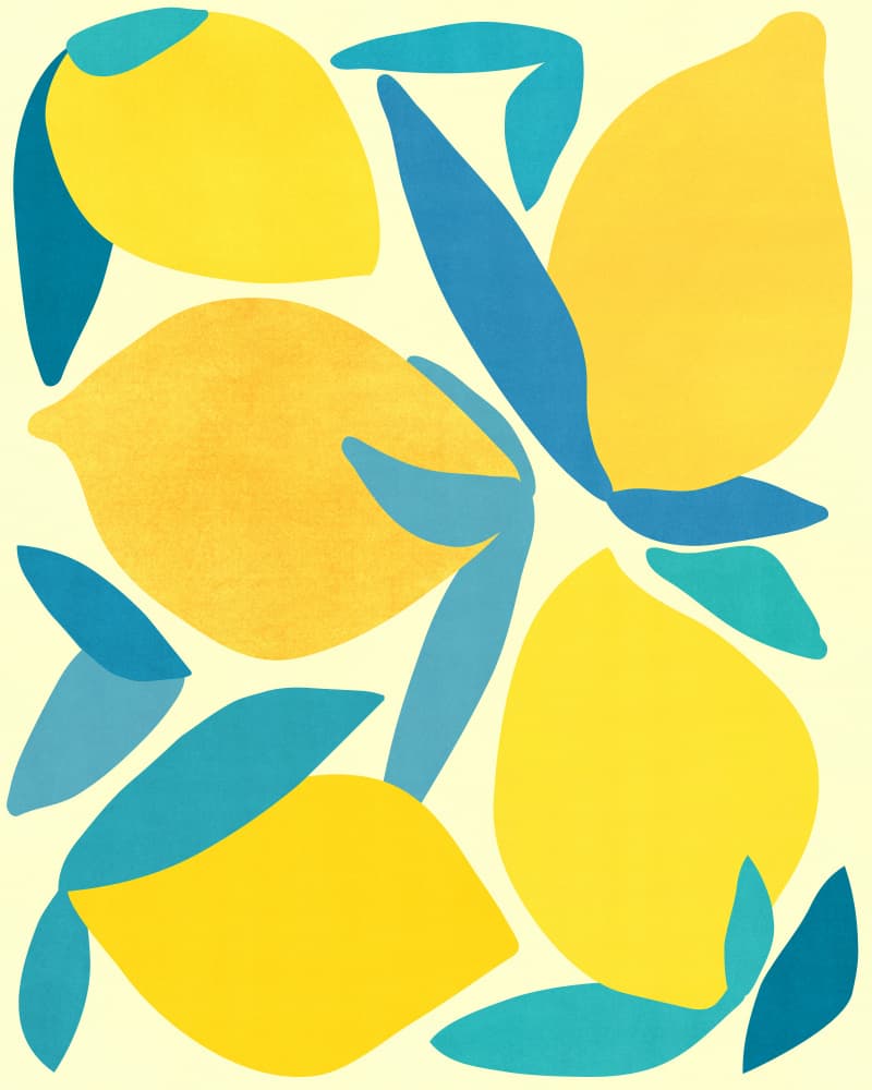 Lemon Shapes by Kristian Gallagher — canvas wall art