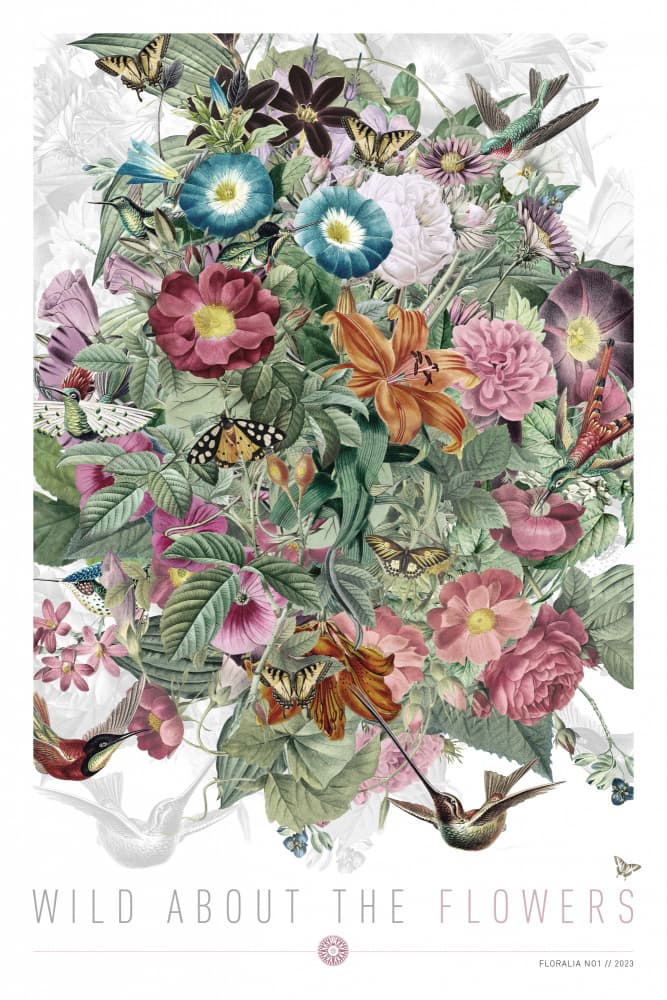 Wild About The Flowers by Simon Goggin — canvas wall art