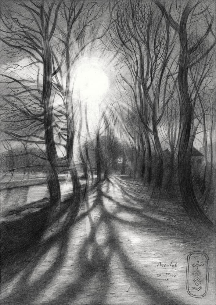 Path of Winter Light by Corné Akkers — canvas wall art