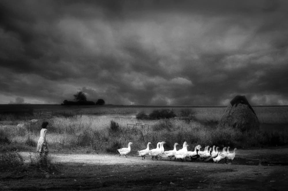 Rural Girl with Geese by Holger Droste — canvas wall art
