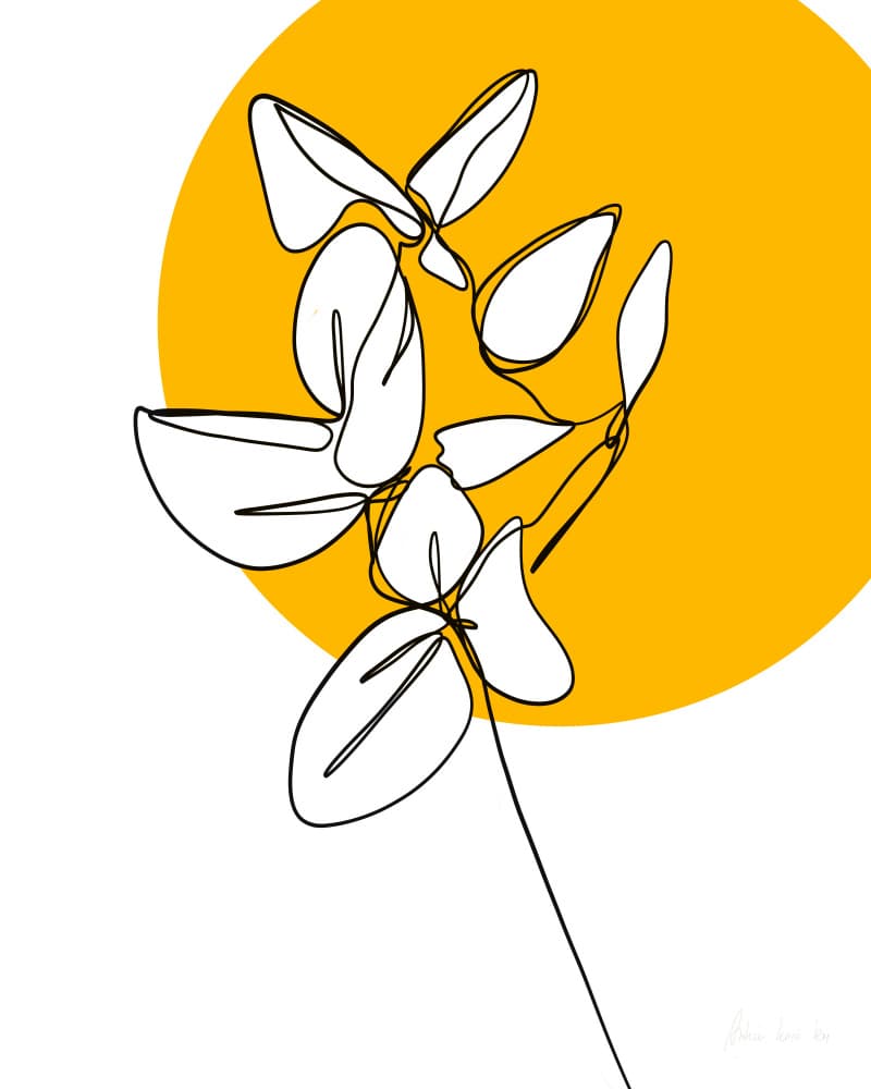 Golden Sun Botanicals by Ankie Kooi — canvas wall art