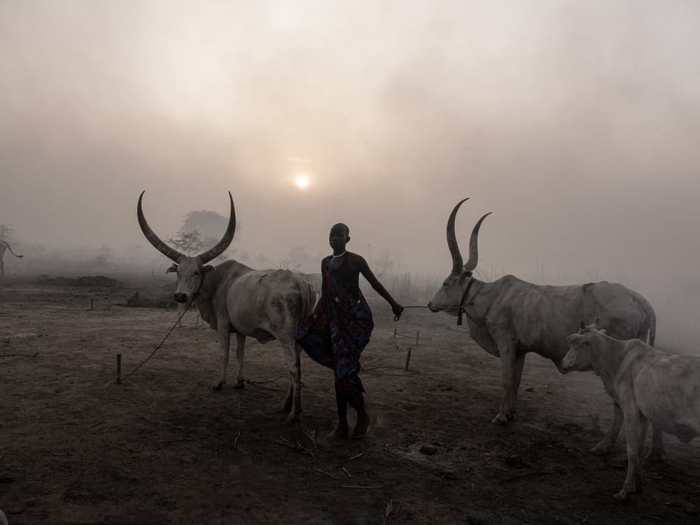 African Man Morning Mist by Elena Molina — canvas wall art