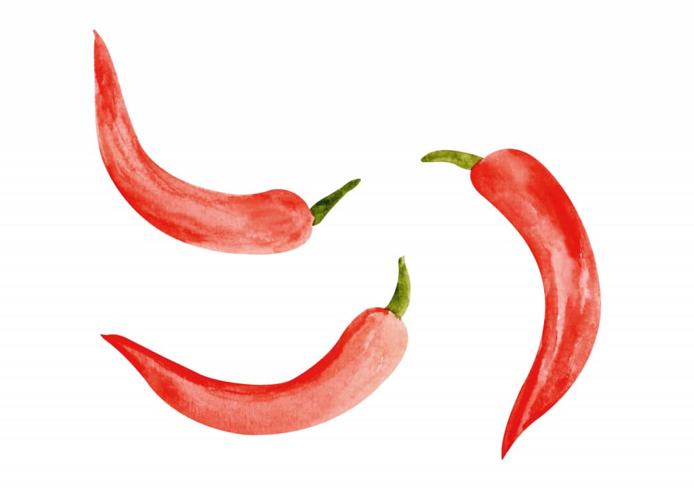 Vibrant Red Chilies by kathrinmay — canvas wall art